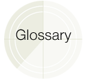 Glossary